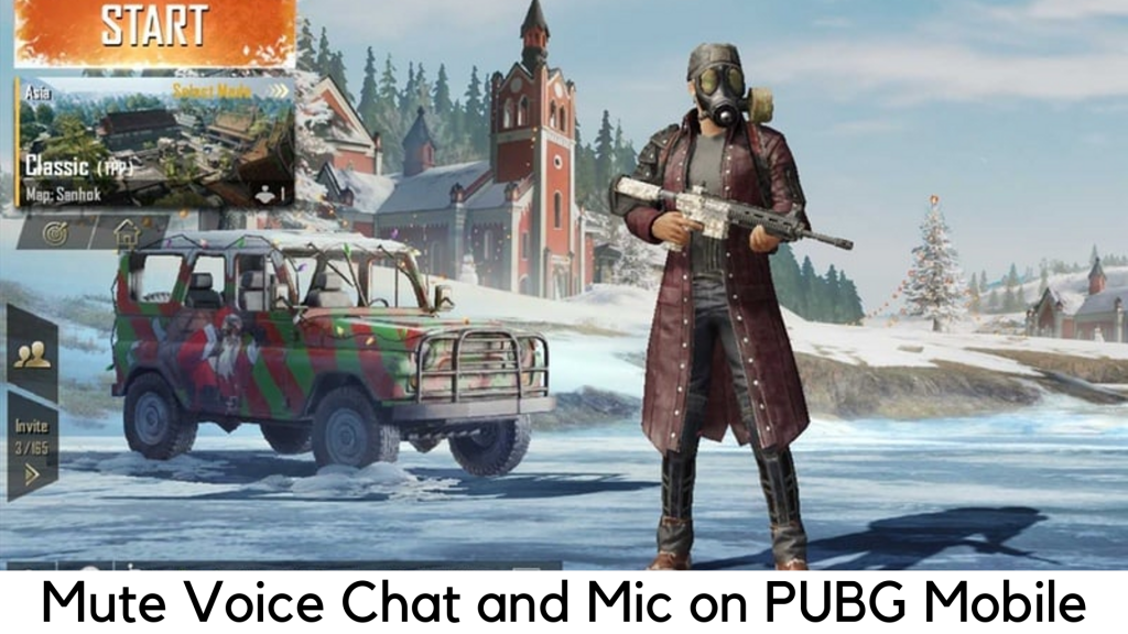 Mute Voice Chat in PUBG