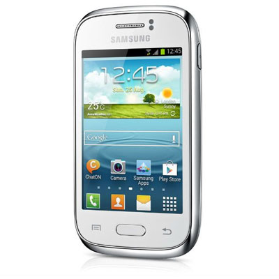 Samsung Galaxy Young S6310