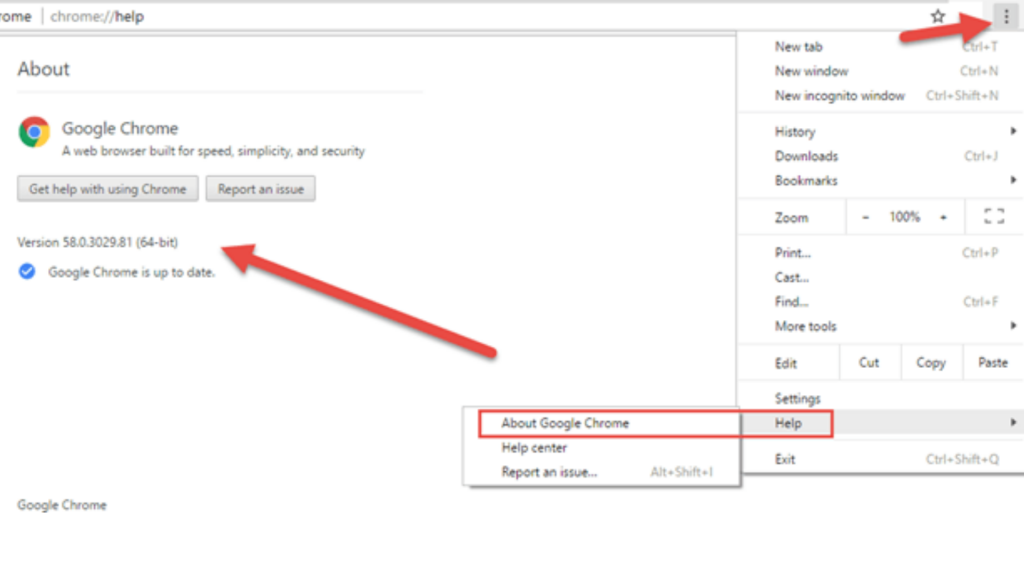 Check Chrome Version and Update 