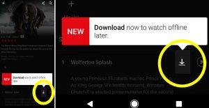Download Netflix Titles