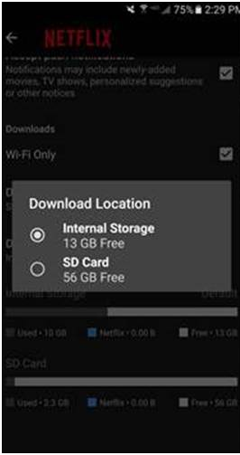 Set video quality and location