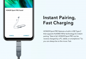 Fast Charging