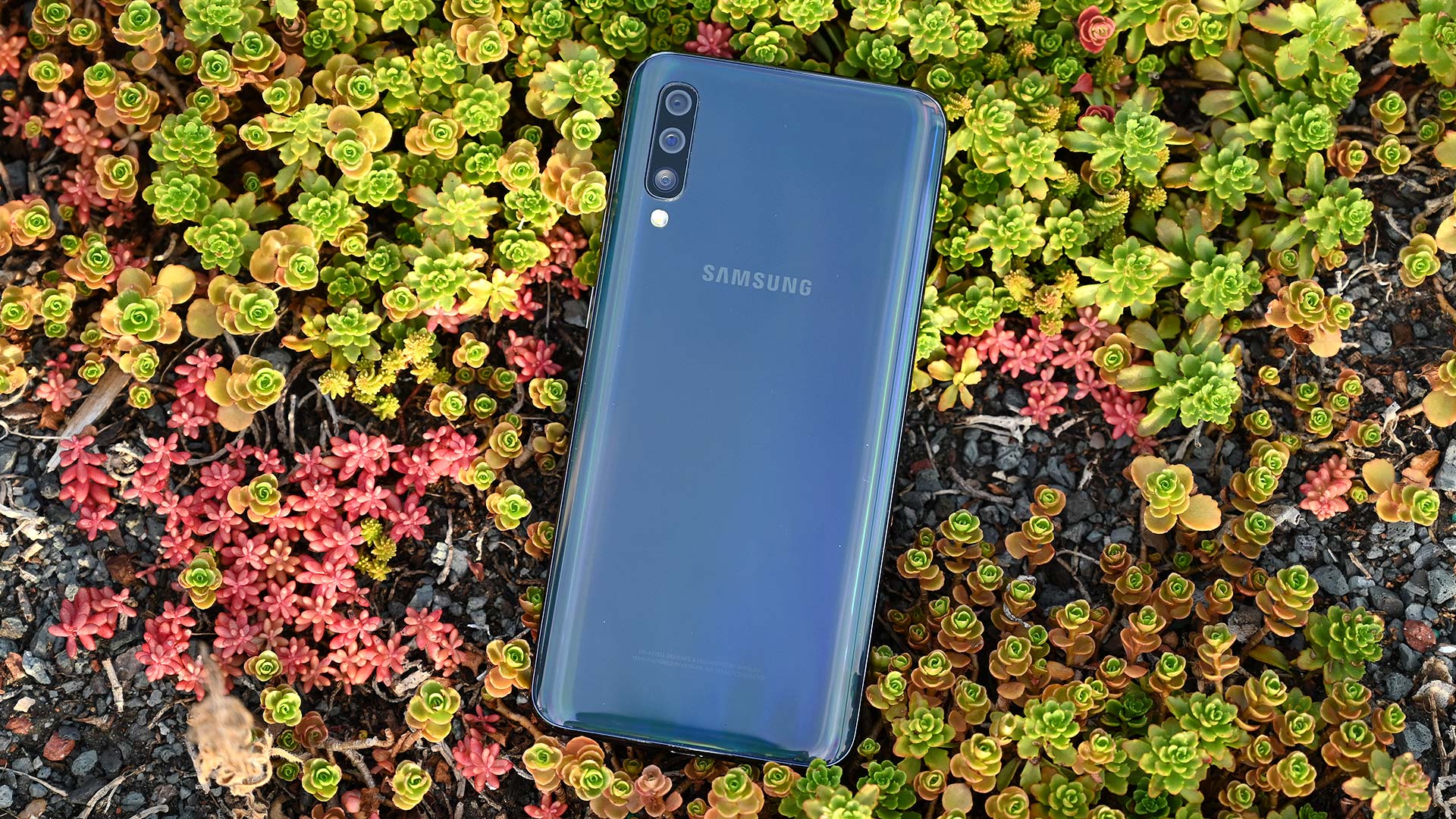 Samsung Galaxy A50 Camera