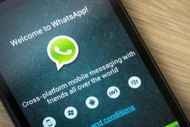 Whatsapp Update