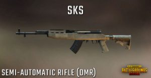 Designated Marksman Rifles (DMR)