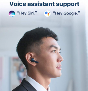 Voice Assistant