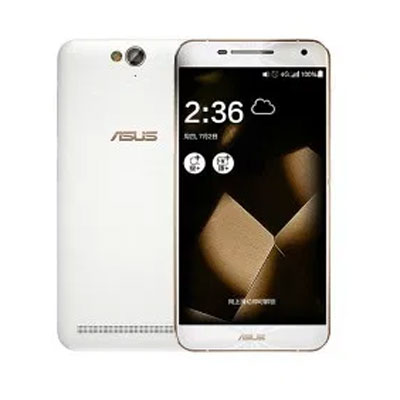 Asus Pegasus