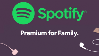 Photo of Spotify Now Requires Location Data To Prevent Abuse Of Family Plan