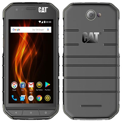 Cat S31