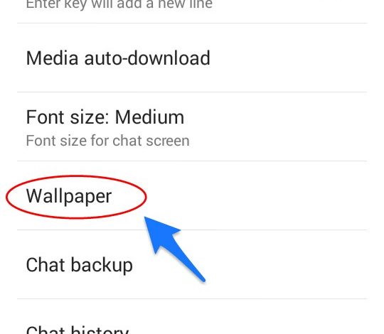 WhatsApp wallpepar Option