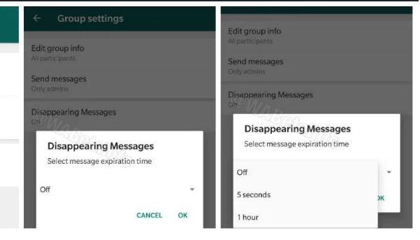 How Delete Message works