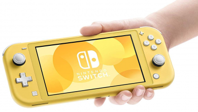 Photo of Nintendo Switch Lite Review